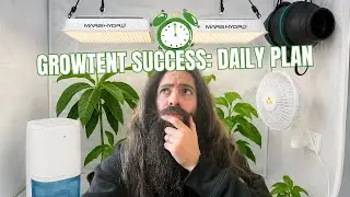 Grow Tent Daily Schedule — Simple, Effective and Happy Plants! 