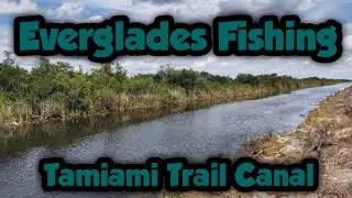 Fishing in the Everglades: Tamiami Trail Canal