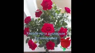 Эх бу гомер дигэннэре. Габделфат Сафин  жырлый. Искиткеч матур жыр. Official