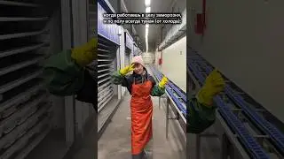 а где бы вы хотели работать? #завод #работа #рсо #студент #камчатка #рыба