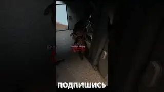 Новый баг который полностью защищает от печеньки в  SCP: Secret Laboratory!
