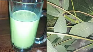 Are cassava leaves safe for human consumption? | The plain truth