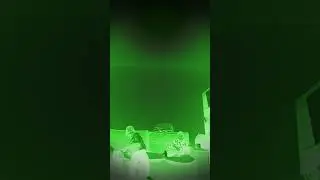 27 мая 2024 г.