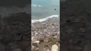 #Озеро #Балхаш 🌊