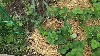 Сохранить  вас Для  себя  мой ватсап 89389050738
