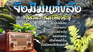 รวมเพลง ยังมีมนต์ขลัง สุรพล สมบัติเจริญ