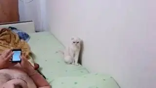 Россия...😹😹