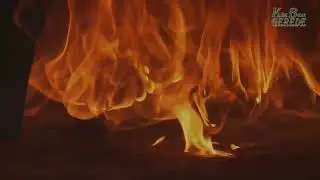 Fırında Kızarmış Kaz Pişirme