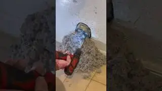 First Dryer Vent Cleaning since 1974, 50 years of Lint 🤯 #OddlySatisfying #VacuumTherapy