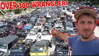 Exploring the Biggest Jeep Wrangler Collection Ever Found??
