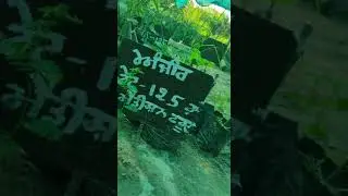 Visit of organic farm