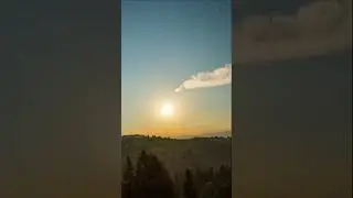 Когда деревья были большими