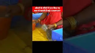 TEMPLE'S BUSINESS OF WOMEN'S HAIR?#shortsfeed #viral #facts #facts #shortsvideo #trending #shorts
