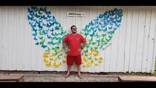Flutter 3