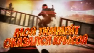 Мой Тиммейт Оказался Крысой | Arena Breakout Infinite | ABI