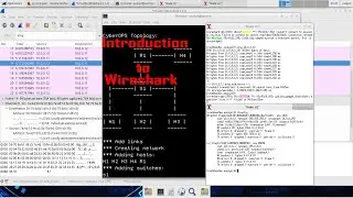 CCNA CYBERSECURITY OPERATIONS LAB | Introduction to Wireshark