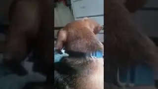 Watch the video then I'll explain