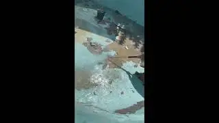 איך מנקים בריכה בבית פרטי ? - 053-352-5201 - נקי בלחץ