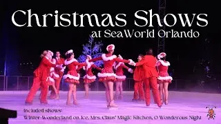 Christmas Celebration Shows at SeaWorld Orlando