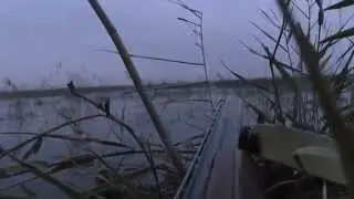 Охота на уток осенью