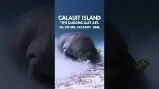bad reviews on philippine diving