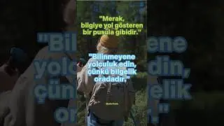Bilgi pusuladır #shorts #motivasyonvideosu #başarı