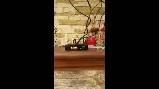 Supra SDT-84 приемник цифровых эфирных каналов DVB-T2/T с функцией записи