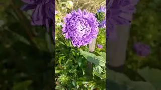 10 сентября 2023 г.