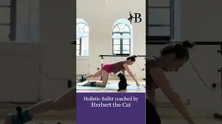 Pilates for Dancers: Coached By Herbert The Cat #cat #ballet #pilates #shorts