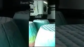 Timelapse of a new adventure #3dprinting #X1C #Filament #dino