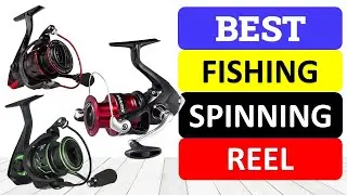Top 10 Best Fishing Spinning Reel in 2024 | Best Fishing  Reel