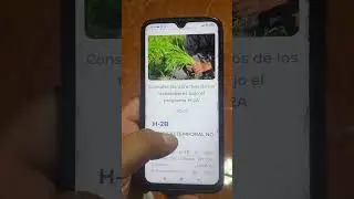 Quien es csi visa prossesing visa h2a para 🇺🇸