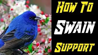How To Swain Support! Swain Guide Full Gameplay Season 11