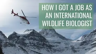 How I got my WILDLIFE BIOLOGIST job // & TIPS for biology majors