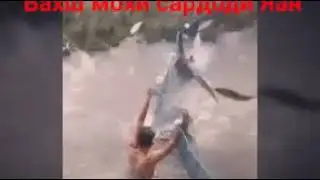 Хатман тамошо кунен дар Тожикистон мохи  сардодян ва лайк монен ва обуна шавен