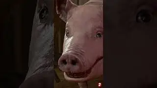 Cute animals #Baldursgate3