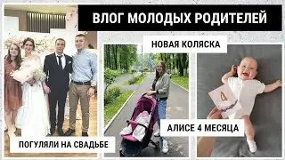 СЕМЕЙНЫЕ БУДНИ | МНОГО АЛИСЫ | НОВАЯ КОЛЯСКА | ПЕРВЫЙ ПЕРЕВОРОТ | СВАДЬБА