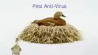 Telus - ducks