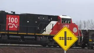 SP Trains 