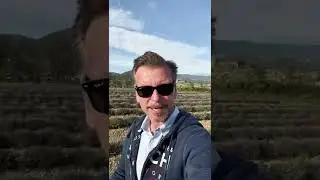 Ces champs de lavande pour les stages photo dans le Luberon