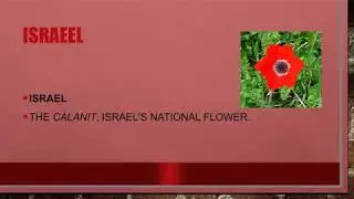 Names of National Flowers of Almost Asian's countries