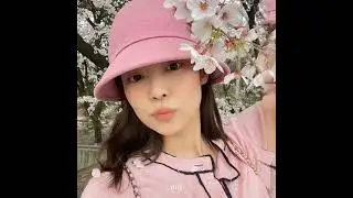 kim jennie edit on alight motion – jeontann