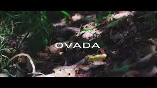 Il suono di Ovada ● Video di Enrico Gennari