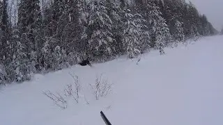 Охота на боровую дичь по снегу, на лунках mp4