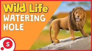 Wild Life |  Watering hole fun