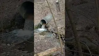 прогулка по роще ч. 1