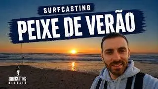 Peixe de verão