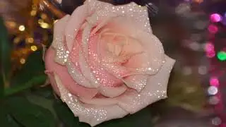 Ольга, с Днем рождения!