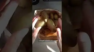 Кроме того картофель должен храниться в тёмном, прохладном месте☝️