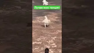 Ну что за милота☺️☺️☺️